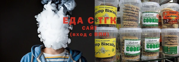 хмурый Алзамай